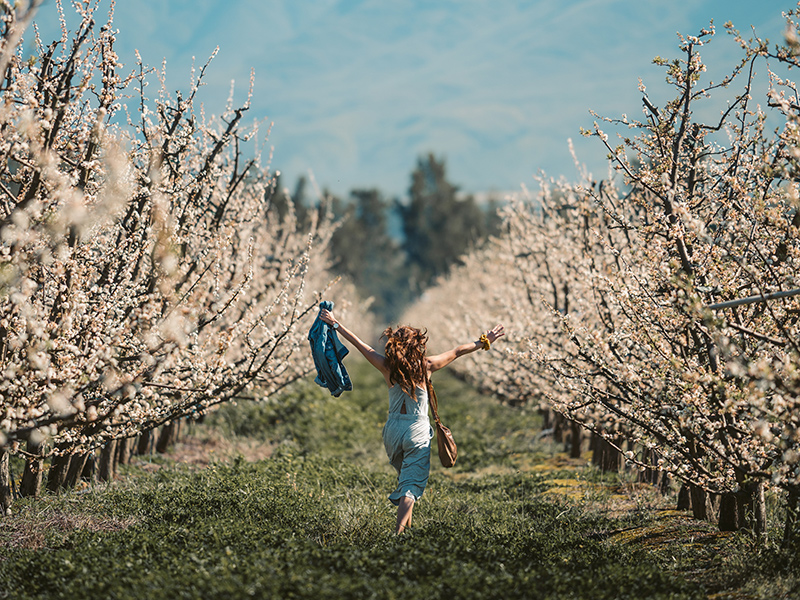 Die schönsten Frisuren für den Frühling